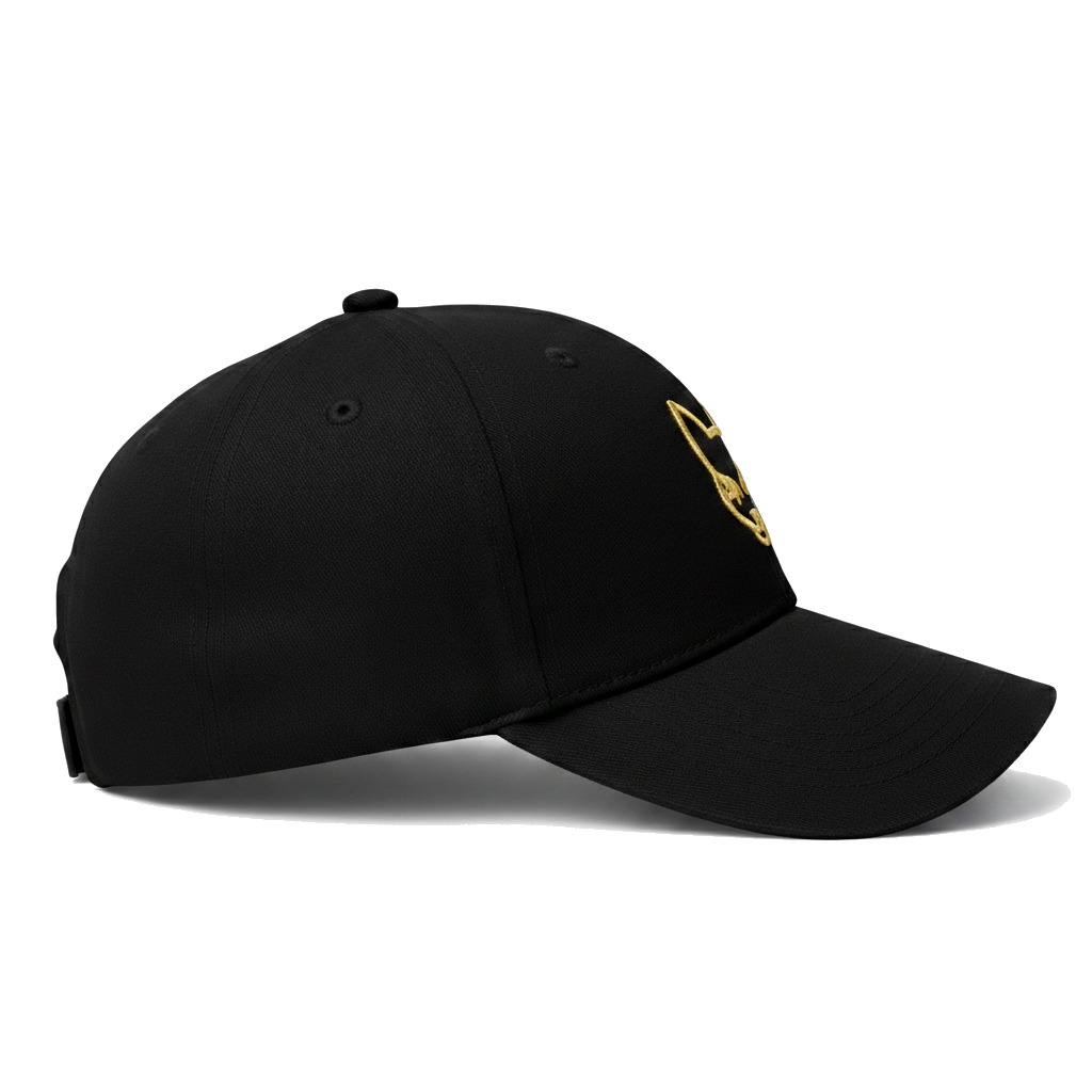 PRE-ORDER: XINTU Baseball Cap